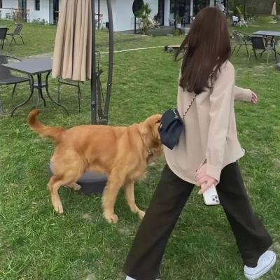 最后老窦